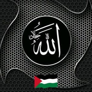 Meet your Posher, Mohammed